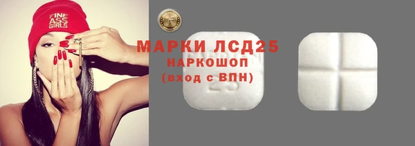 индика Гатчина