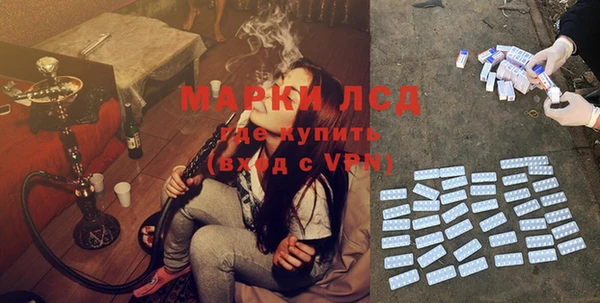 стаф Гвардейск
