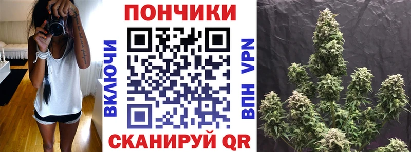 Конопля Bruce Banner  Городовиковск 